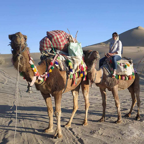 Varzaneh Desert Camp and Camel Tour