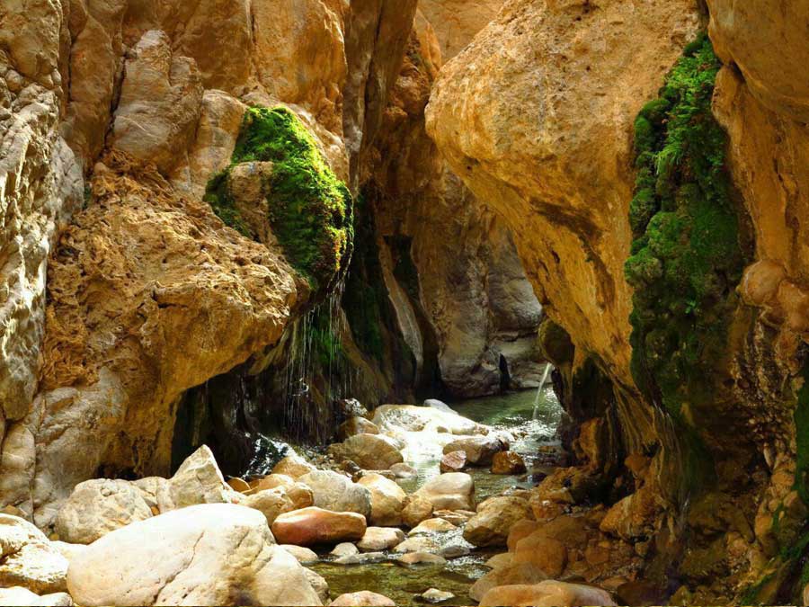 Morteza Ali Hot Spring