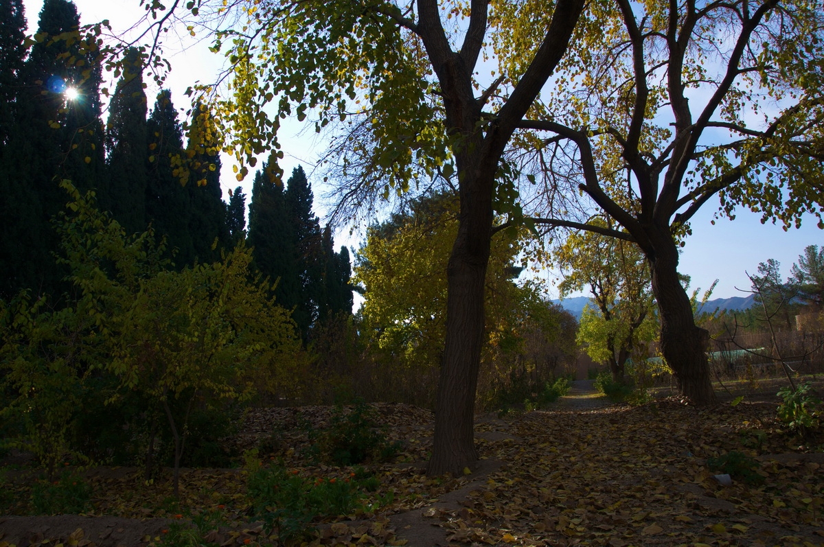 Rahimabad Garden and Mansion