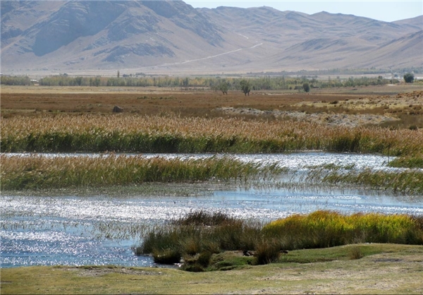 Bamdezh Lagoon
