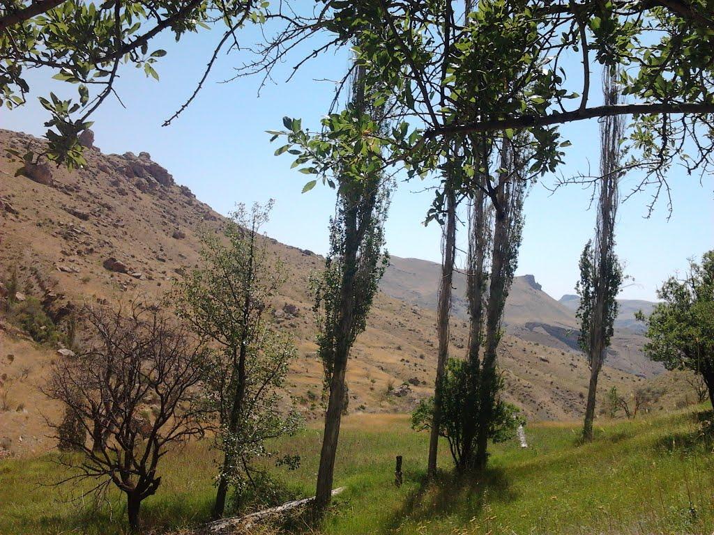 Kaghazkonan Protected Area