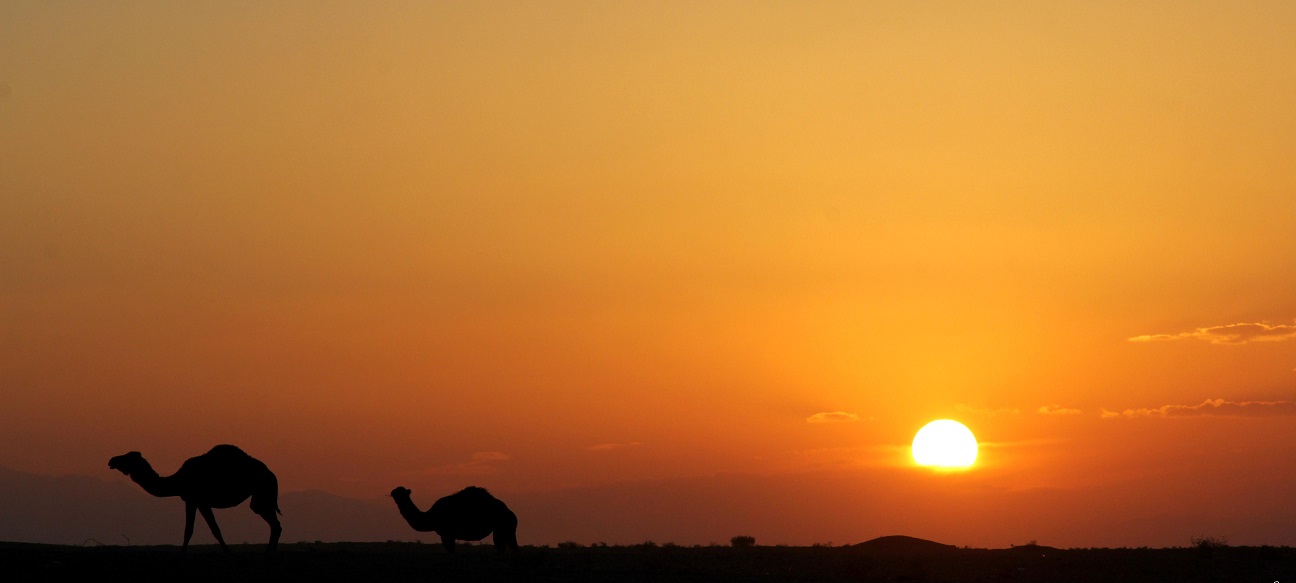 Maranjab Desert (Band-e Rig)