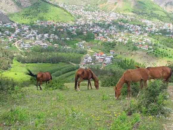 Javaher Deh Village
