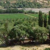 Ista Village
