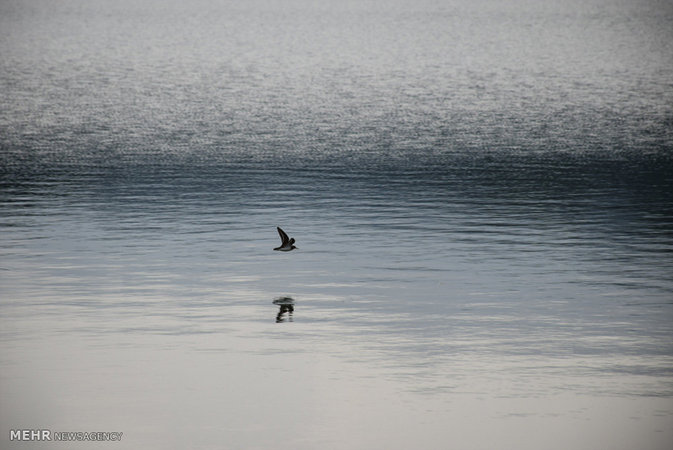 Estil Lagoon, Astara