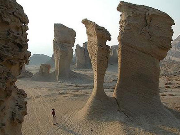 Sayeh Khosh Kaluts