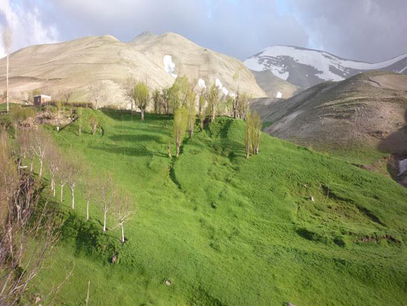 The Largest Rock Mosque in Iran