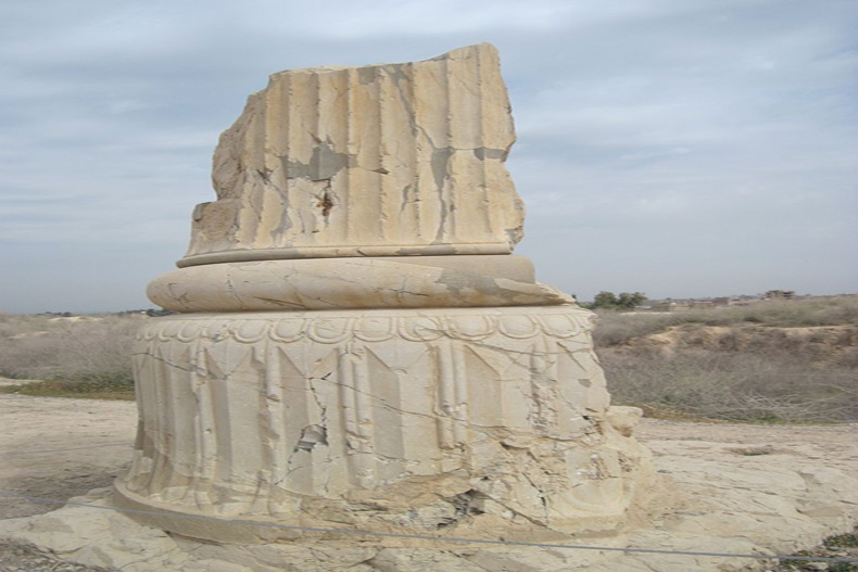Apadana Palace of Shush