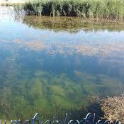 Hashilan Lagoon