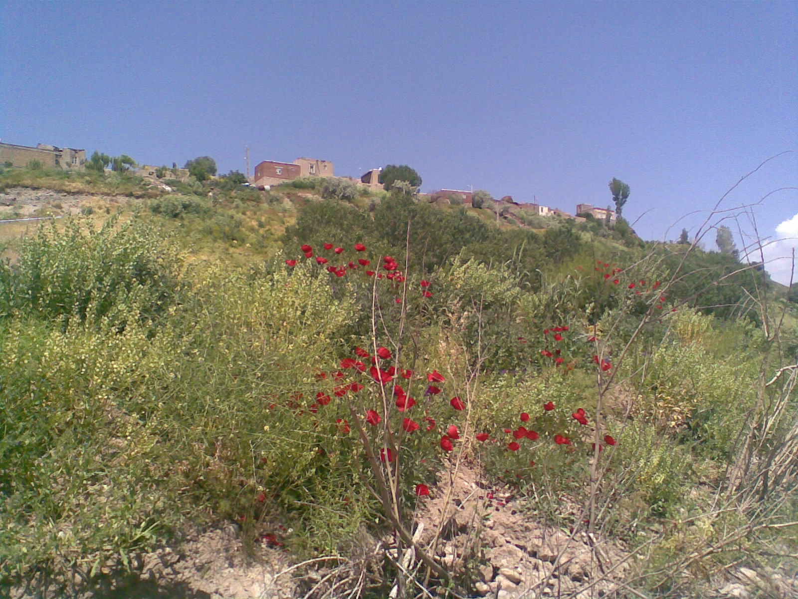 Atash Beyg Village