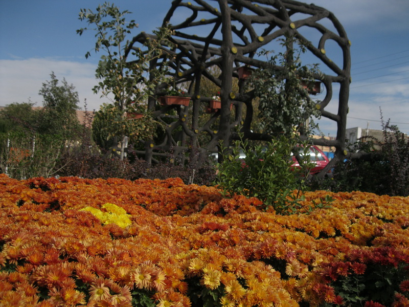 Shams Tabrizi Park
