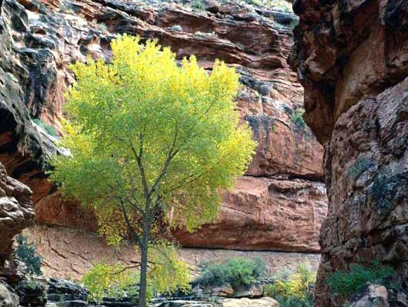 Razianeh Canyon