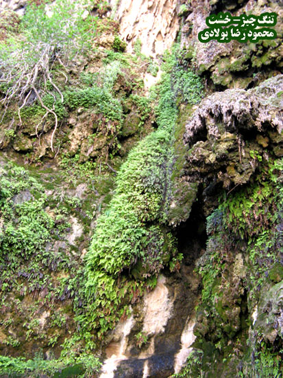 Jiz Canyon