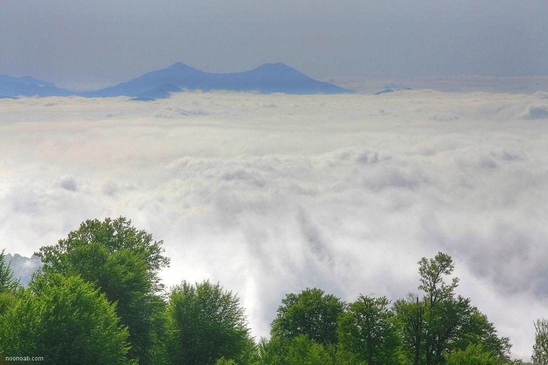 Jangale Abr, Sahrud (Cloud forest)
