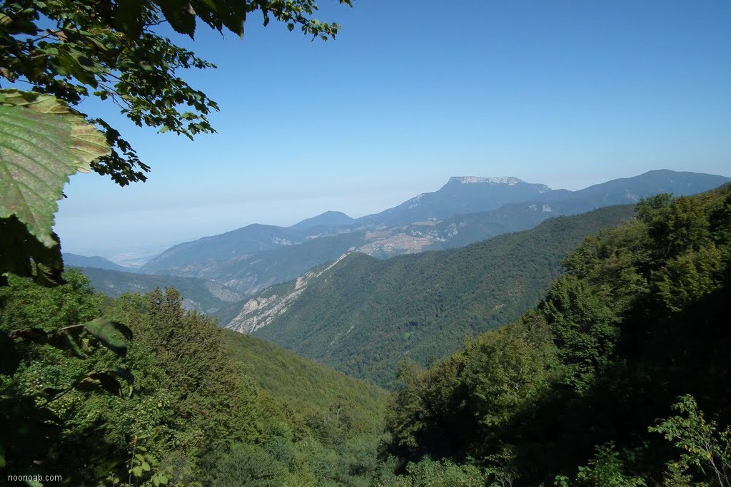 Jangale Abr, Sahrud (Cloud forest)