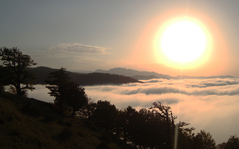 Jangale Abr, Sahrud (Cloud forest)