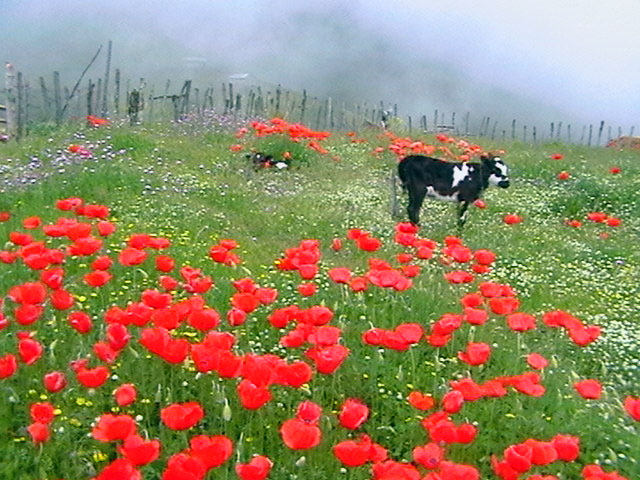 Soubatan Highlands