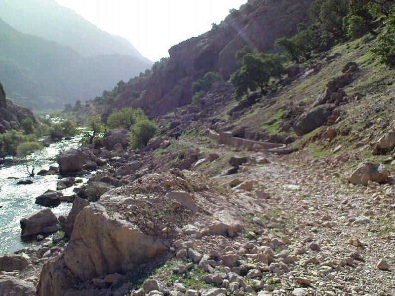 Protected Forest Area of Shimbar
