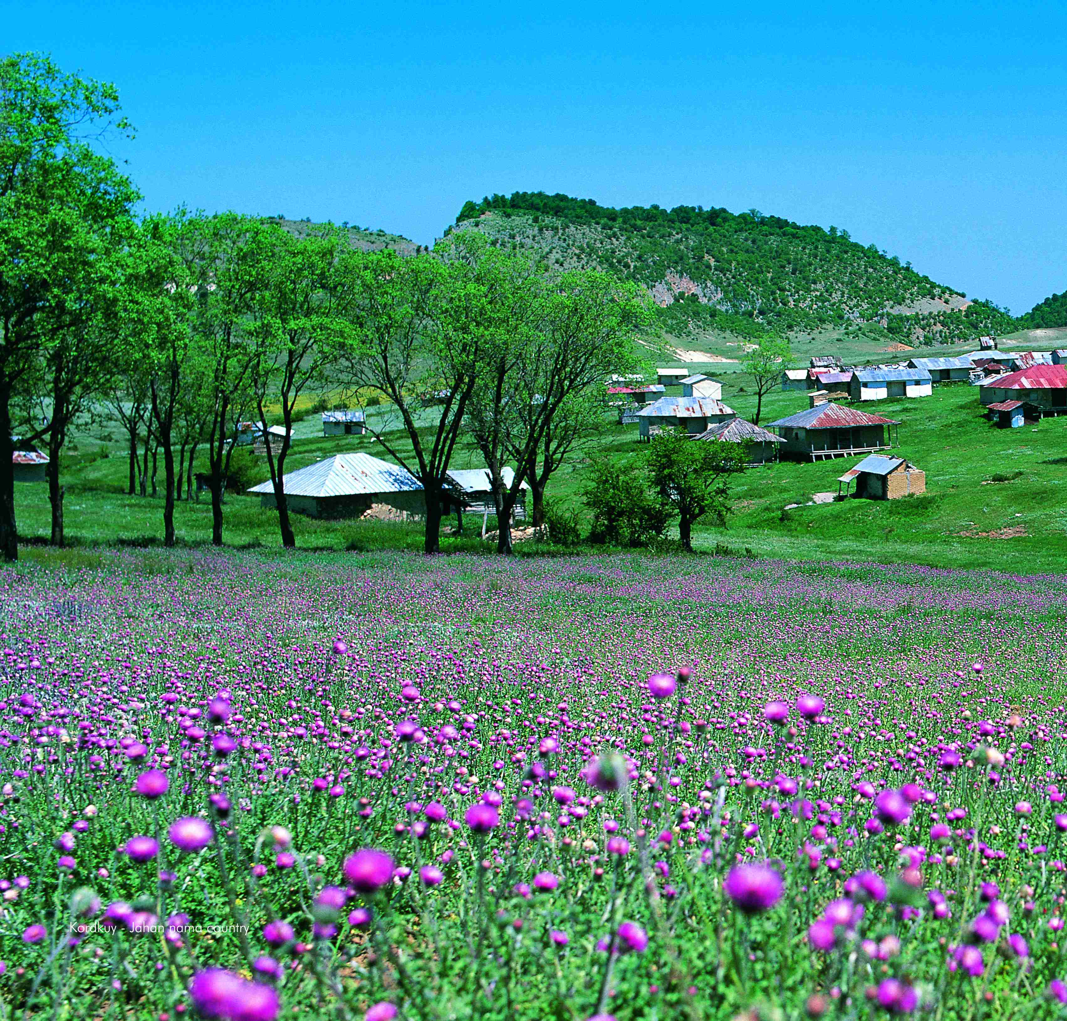 Jahan Nama Village