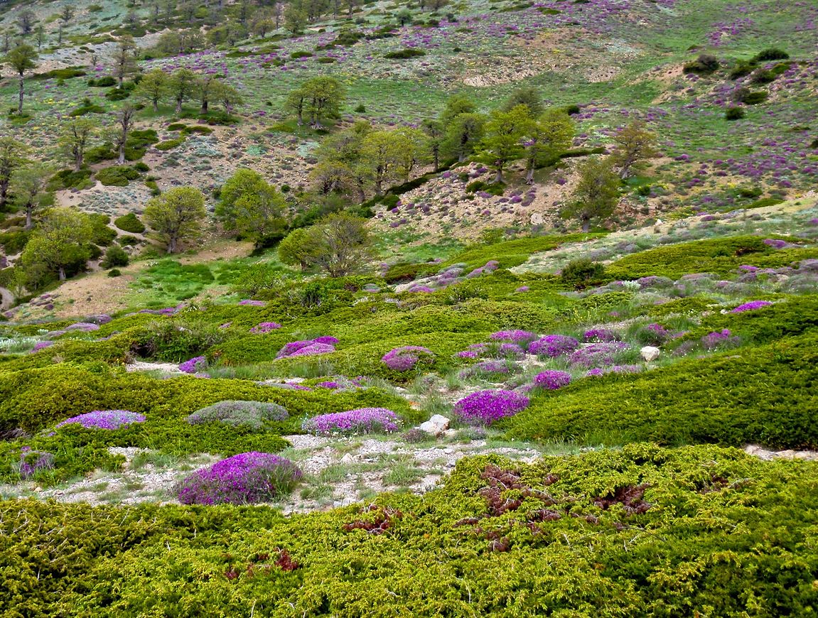 Jahan Nama Village