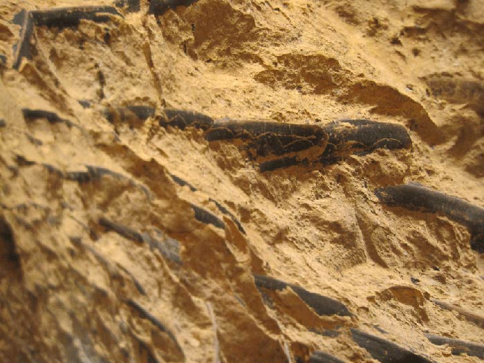 Ancient Binalar Caves