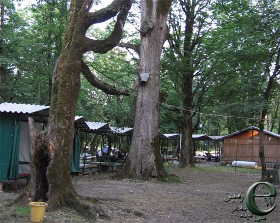 Sisangan Forest Park