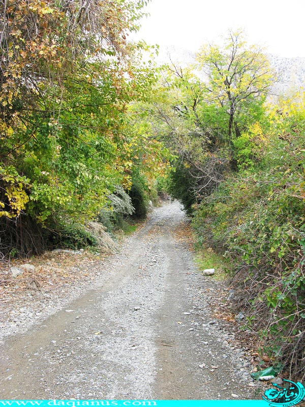 Dalfard District