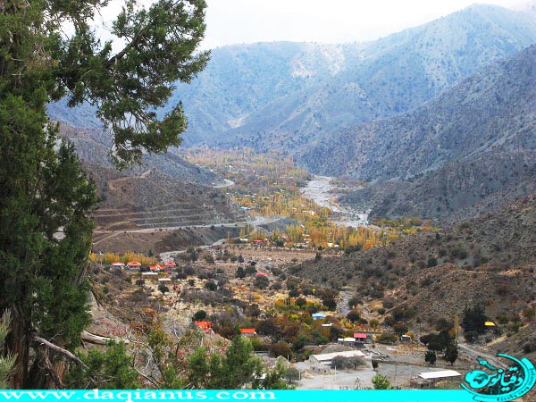 Dalfard District