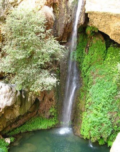 Dalfard District