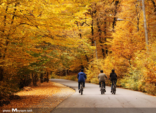 Alangdareh Forest park