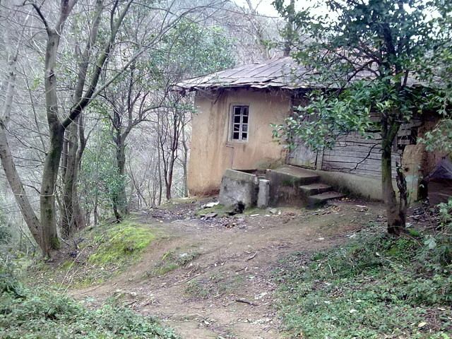 Leyla Kuh Resort Area