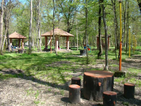 Daland Forest Park
