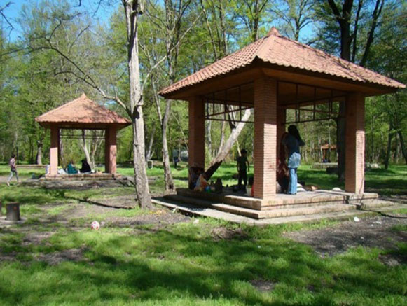 Daland Forest Park