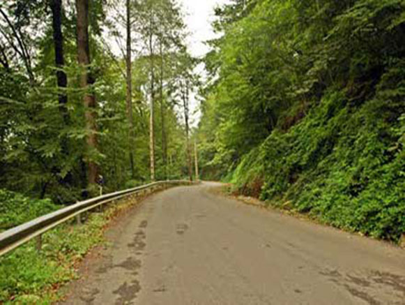 Kordkuy Forest Park