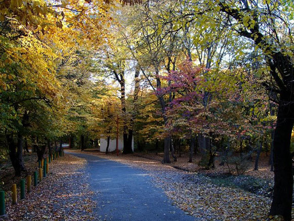 Qoroq Forest Park