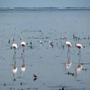 Gomishan International Lagoon