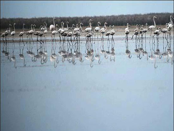 Gomishan International Lagoon
