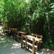 Saravan Forest Park
