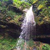 Parrotia Forest and Velila Waterfall