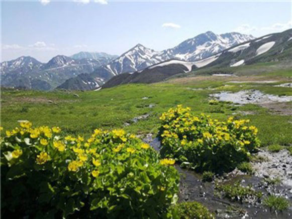 Margavar Rural District