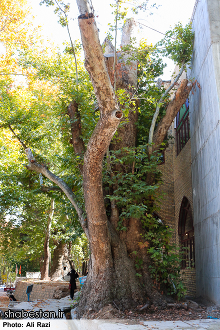 Baba Aman Promenade