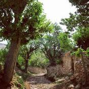 Baghestan Touristic Area and Ferdous Hot Springs