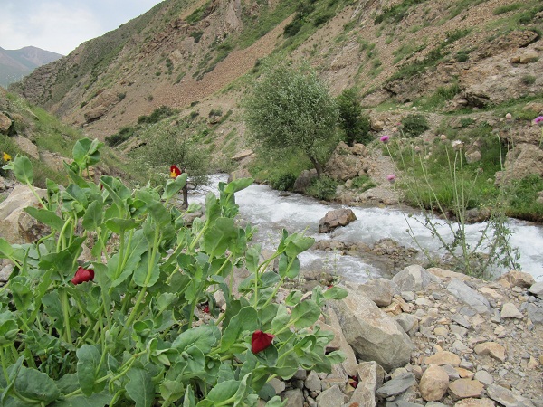 Deryouk Lake and Waterfall