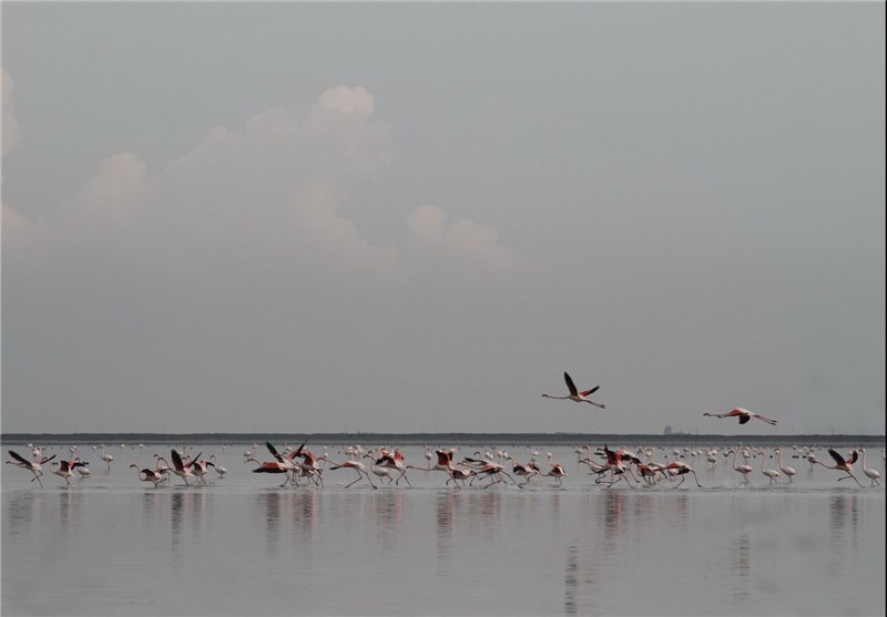 Triple Lagoons of Golestan Province