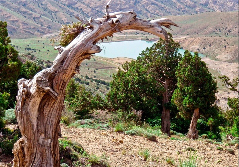 Khosh Yeylagh Wildelife Shelter