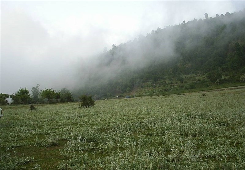 Khosh Yeylagh Wildelife Shelter