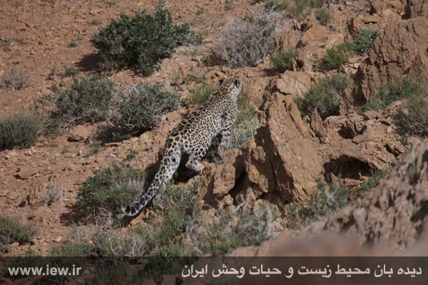 Khosh Yeylagh Wildelife Shelter