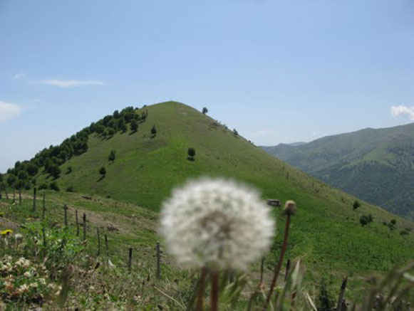 Majulan Village