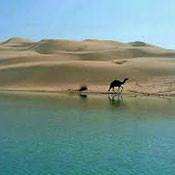 Darak Beaches of Konarak