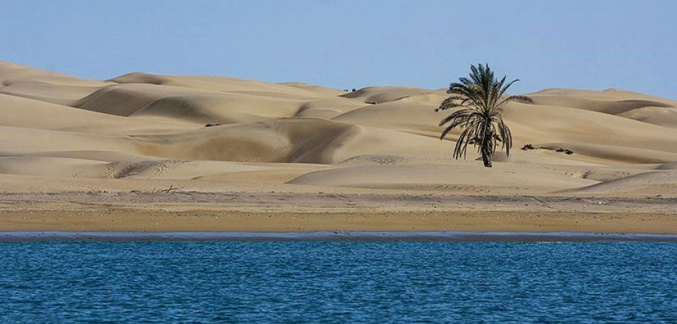 Darak Beaches of Konarak